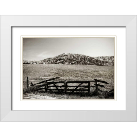Autumn Pastures IV White Modern Wood Framed Art Print with Double Matting by Hausenflock, Alan