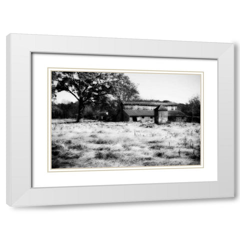 Fallow Fields I White Modern Wood Framed Art Print with Double Matting by Hausenflock, Alan
