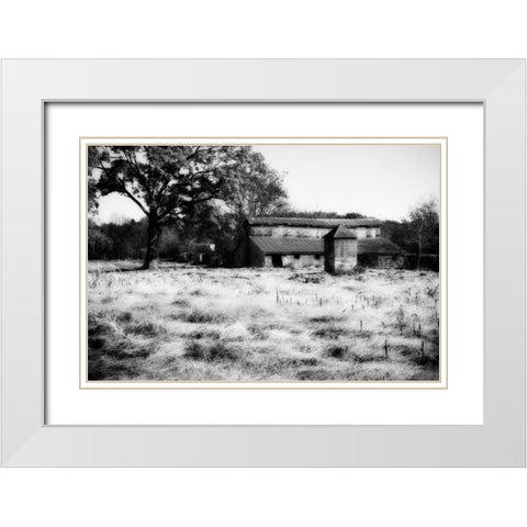 Fallow Fields I White Modern Wood Framed Art Print with Double Matting by Hausenflock, Alan
