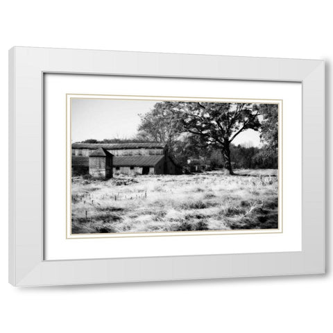 Fallow Fields II White Modern Wood Framed Art Print with Double Matting by Hausenflock, Alan