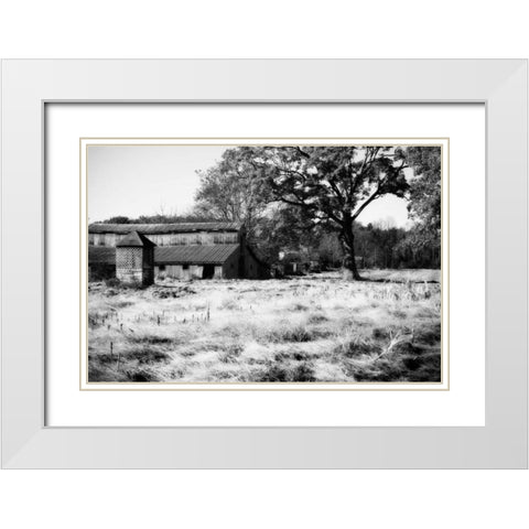 Fallow Fields II White Modern Wood Framed Art Print with Double Matting by Hausenflock, Alan