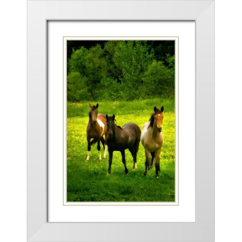 The Horses Three II White Modern Wood Framed Art Print with Double Matting by Hausenflock, Alan