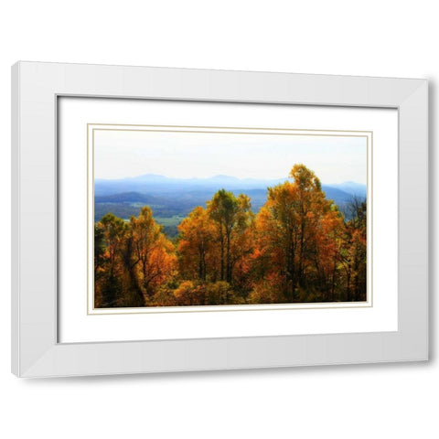 Shenandoah Valley I White Modern Wood Framed Art Print with Double Matting by Hausenflock, Alan