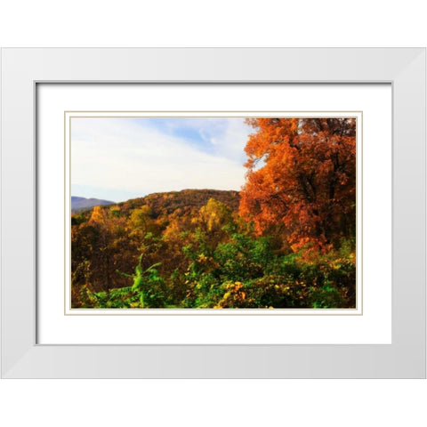 Rockfish Gap White Modern Wood Framed Art Print with Double Matting by Hausenflock, Alan