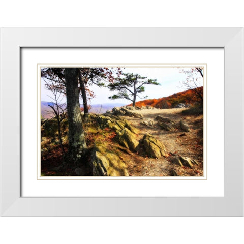 Stoney Ridge II White Modern Wood Framed Art Print with Double Matting by Hausenflock, Alan