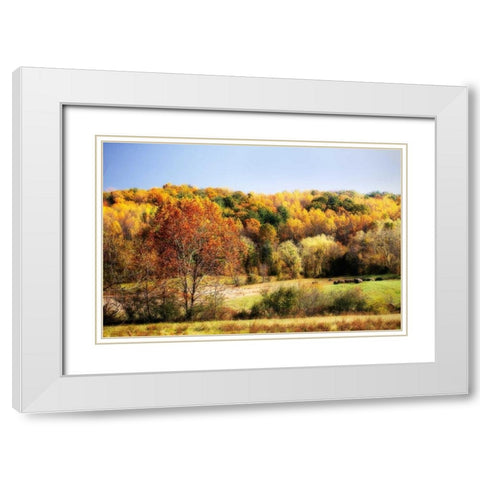Sperryville Fields I White Modern Wood Framed Art Print with Double Matting by Hausenflock, Alan