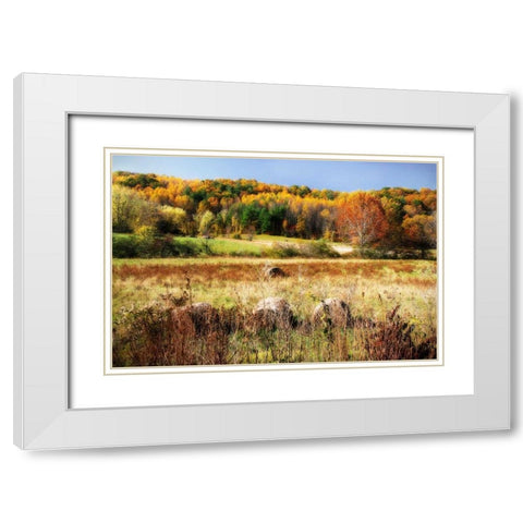 Sperryville Fields II White Modern Wood Framed Art Print with Double Matting by Hausenflock, Alan