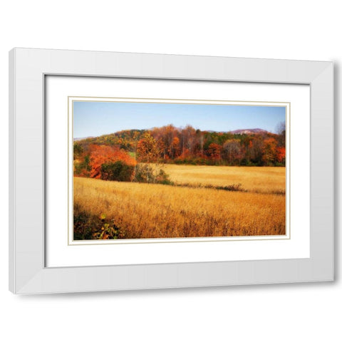 Sperryville Fields IV White Modern Wood Framed Art Print with Double Matting by Hausenflock, Alan