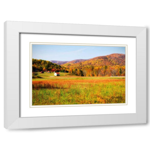 Autumn Fields I White Modern Wood Framed Art Print with Double Matting by Hausenflock, Alan