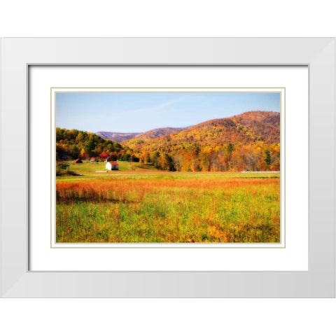 Autumn Fields I White Modern Wood Framed Art Print with Double Matting by Hausenflock, Alan