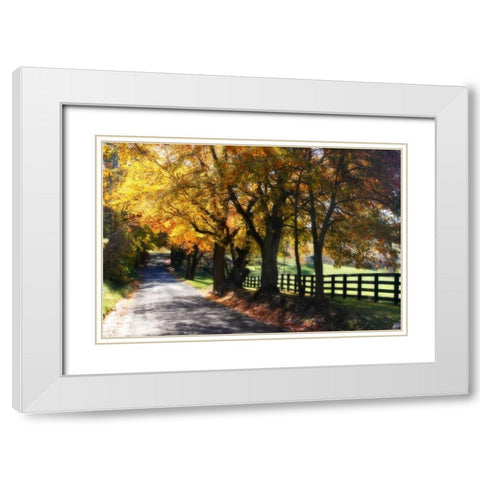 Country Road I White Modern Wood Framed Art Print with Double Matting by Hausenflock, Alan