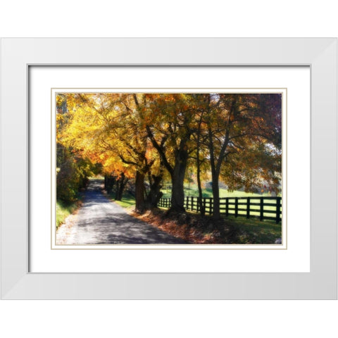 Country Road I White Modern Wood Framed Art Print with Double Matting by Hausenflock, Alan