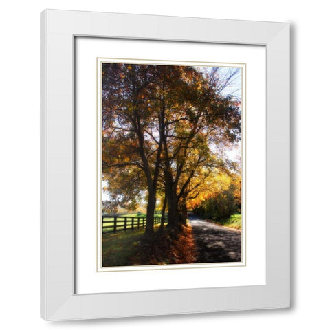 Country Road III White Modern Wood Framed Art Print with Double Matting by Hausenflock, Alan