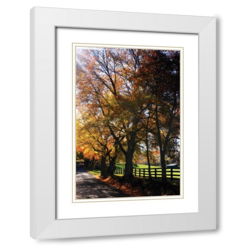 Country Road IV White Modern Wood Framed Art Print with Double Matting by Hausenflock, Alan
