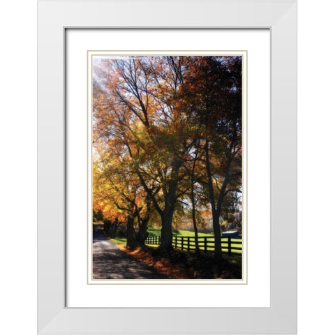 Country Road IV White Modern Wood Framed Art Print with Double Matting by Hausenflock, Alan
