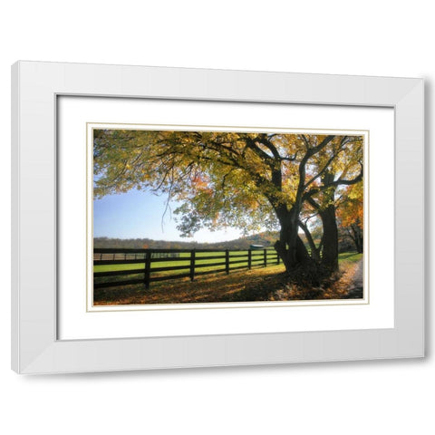 Hillside Farm I White Modern Wood Framed Art Print with Double Matting by Hausenflock, Alan