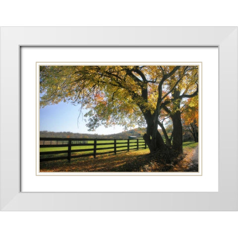 Hillside Farm I White Modern Wood Framed Art Print with Double Matting by Hausenflock, Alan