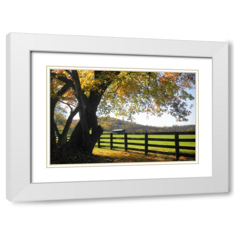 Hillside Farm II White Modern Wood Framed Art Print with Double Matting by Hausenflock, Alan