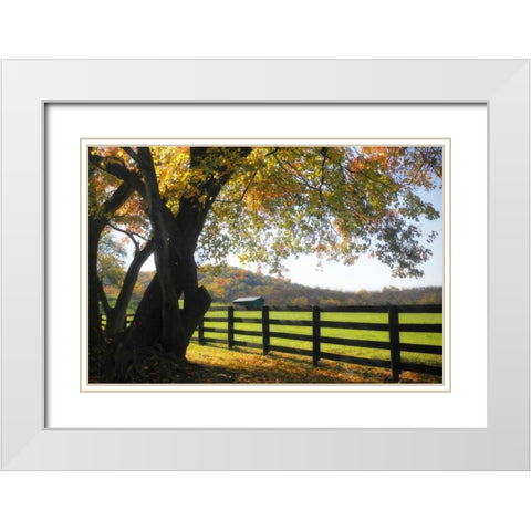 Hillside Farm II White Modern Wood Framed Art Print with Double Matting by Hausenflock, Alan