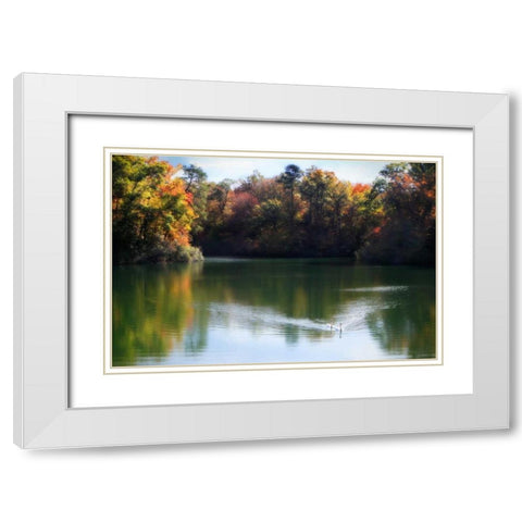 Swans on the Lake II White Modern Wood Framed Art Print with Double Matting by Hausenflock, Alan