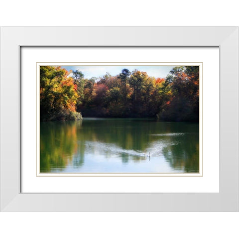 Swans on the Lake II White Modern Wood Framed Art Print with Double Matting by Hausenflock, Alan