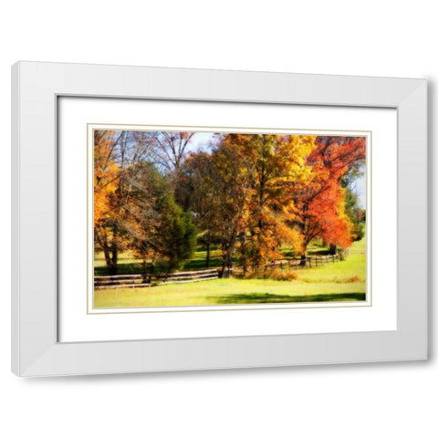 Keswick Pasture I White Modern Wood Framed Art Print with Double Matting by Hausenflock, Alan