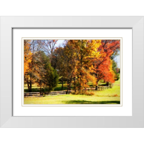 Keswick Pasture I White Modern Wood Framed Art Print with Double Matting by Hausenflock, Alan