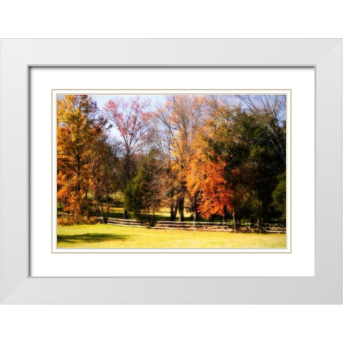 Keswick Pasture II White Modern Wood Framed Art Print with Double Matting by Hausenflock, Alan