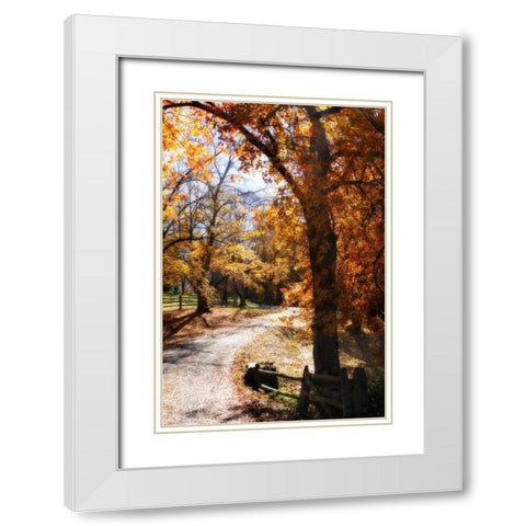 Autumn on Kent Farm IV White Modern Wood Framed Art Print with Double Matting by Hausenflock, Alan