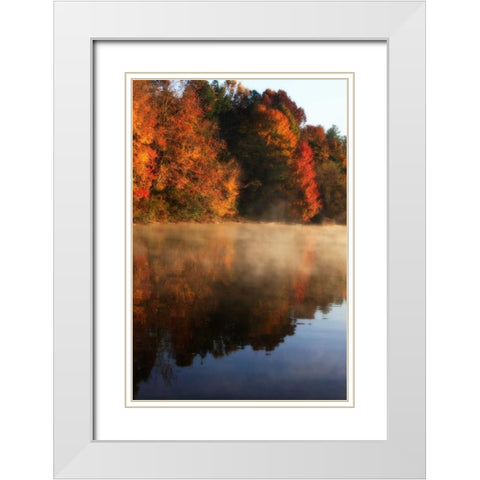 Autumn Mist I White Modern Wood Framed Art Print with Double Matting by Hausenflock, Alan