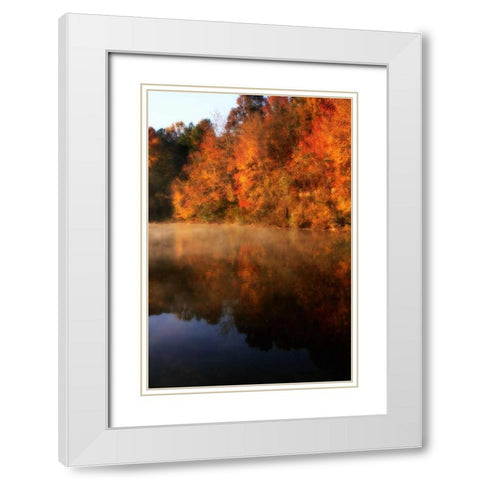 Autumn Mist II White Modern Wood Framed Art Print with Double Matting by Hausenflock, Alan