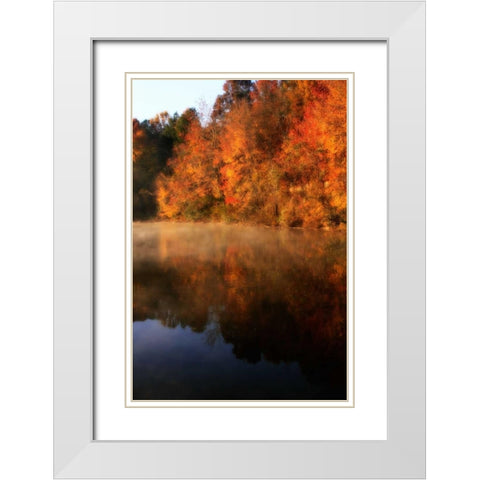 Autumn Mist II White Modern Wood Framed Art Print with Double Matting by Hausenflock, Alan