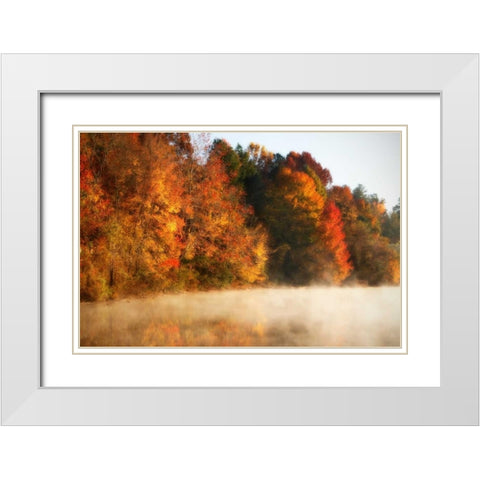 Autumn Mist III White Modern Wood Framed Art Print with Double Matting by Hausenflock, Alan
