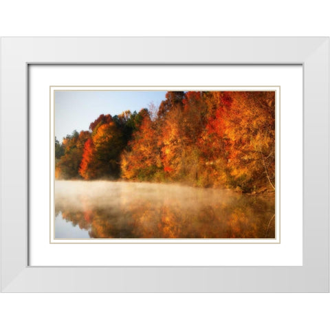 Autumn Mist IV White Modern Wood Framed Art Print with Double Matting by Hausenflock, Alan