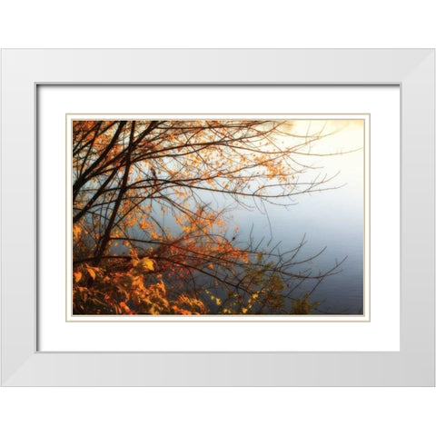 Leaves of Orange I White Modern Wood Framed Art Print with Double Matting by Hausenflock, Alan