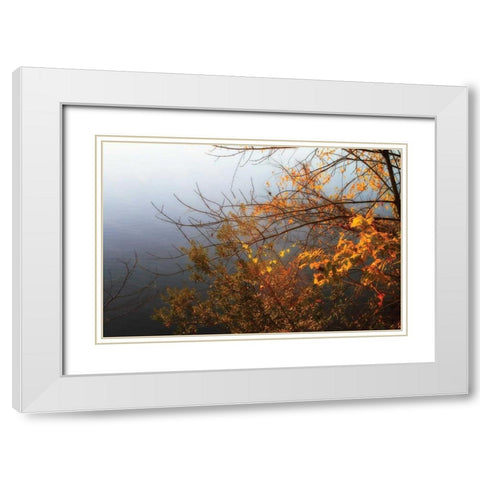 Leaves of Orange II White Modern Wood Framed Art Print with Double Matting by Hausenflock, Alan