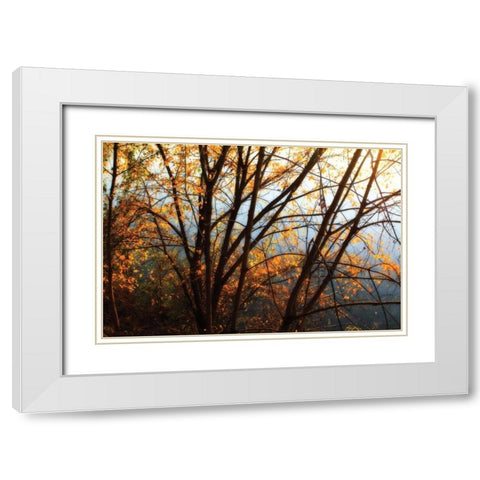 Leaves of Orange III White Modern Wood Framed Art Print with Double Matting by Hausenflock, Alan