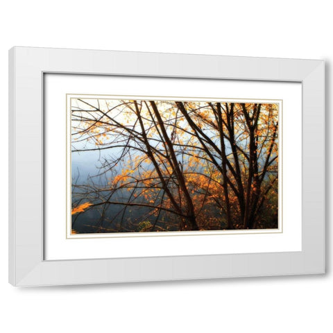 Leaves of Orange IV White Modern Wood Framed Art Print with Double Matting by Hausenflock, Alan