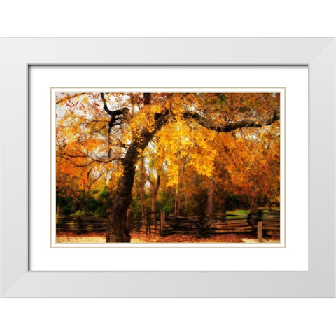 Split Rail Fence IV White Modern Wood Framed Art Print with Double Matting by Hausenflock, Alan