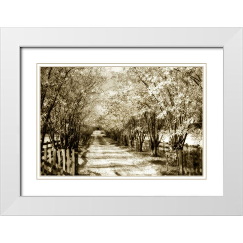 Glen Allen Farm II White Modern Wood Framed Art Print with Double Matting by Hausenflock, Alan