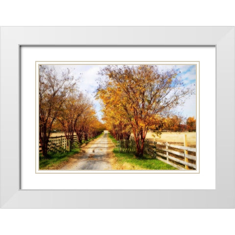 Glen Allen Farm III White Modern Wood Framed Art Print with Double Matting by Hausenflock, Alan