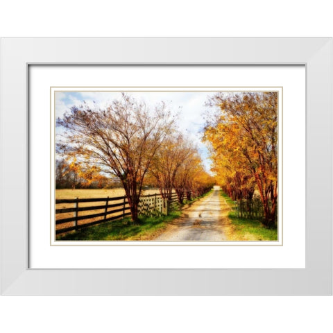 Glen Allen Farm IV White Modern Wood Framed Art Print with Double Matting by Hausenflock, Alan