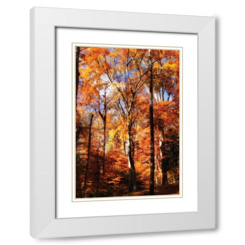 Autumn Cathedral II White Modern Wood Framed Art Print with Double Matting by Hausenflock, Alan