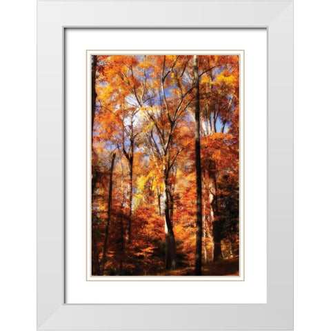 Autumn Cathedral II White Modern Wood Framed Art Print with Double Matting by Hausenflock, Alan