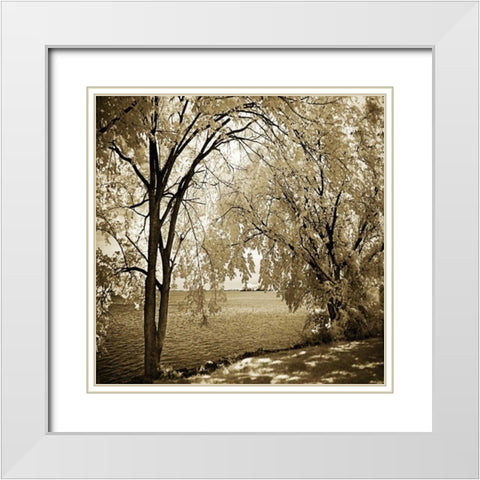 Hopewell Shores I White Modern Wood Framed Art Print with Double Matting by Hausenflock, Alan