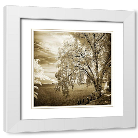 Hopewell Shores II White Modern Wood Framed Art Print with Double Matting by Hausenflock, Alan