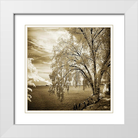 Hopewell Shores II White Modern Wood Framed Art Print with Double Matting by Hausenflock, Alan