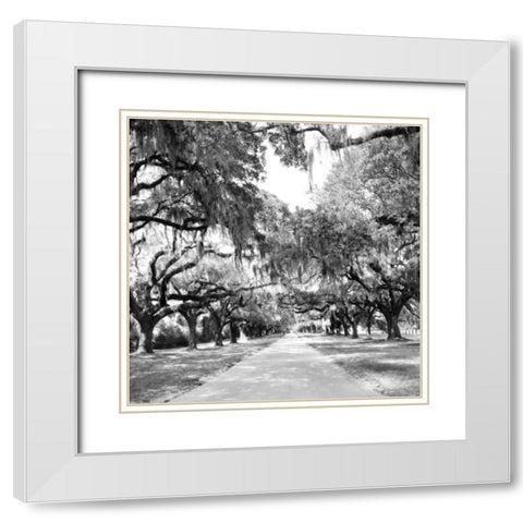 Charleston Oaks Sq. X White Modern Wood Framed Art Print with Double Matting by Hausenflock, Alan