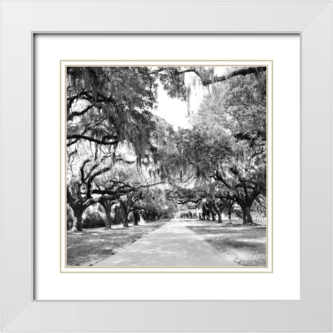 Charleston Oaks Sq. X White Modern Wood Framed Art Print with Double Matting by Hausenflock, Alan