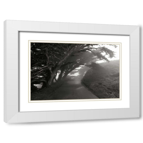 Point Reyes I White Modern Wood Framed Art Print with Double Matting by Johnson, George